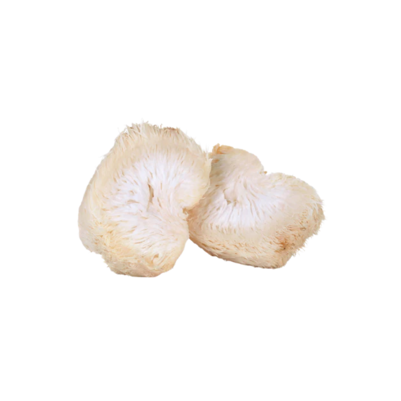 Lion's Mane mushroom